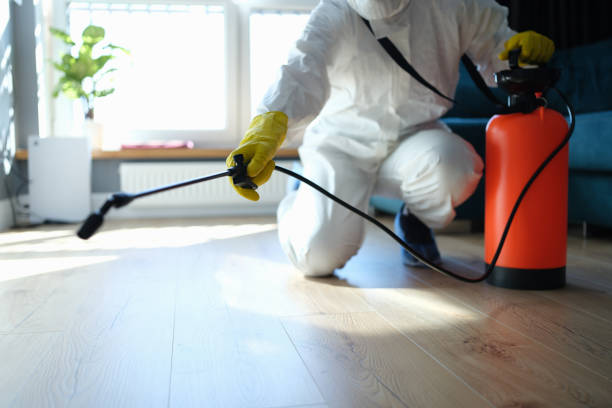 Reliable Odor Removal contractor in Post Falls, ID by Trauma Clean Pros